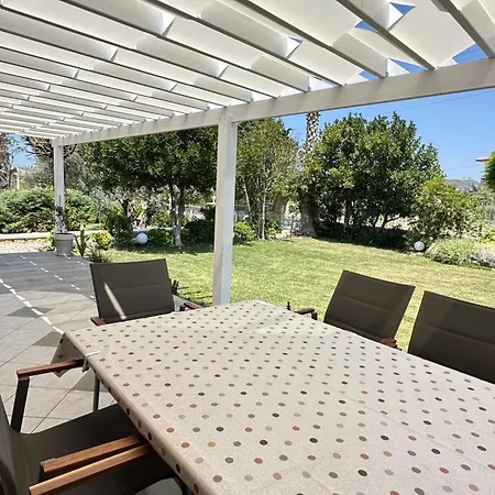 Palm Focakoey * フォチャ