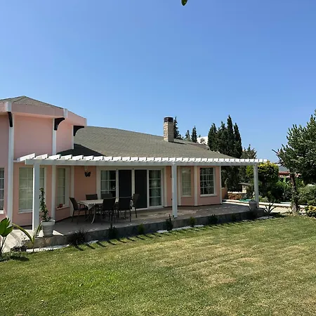 Palm Focakoey * フォチャ