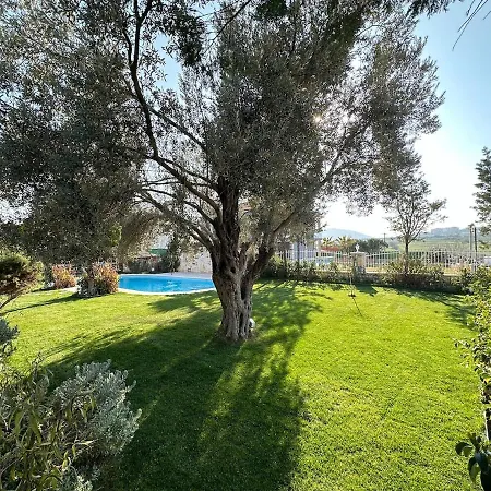 ヴィラ Palm Focakoey