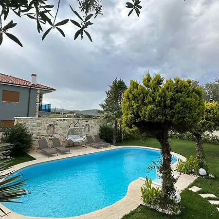 Palm Focakoey フォチャ