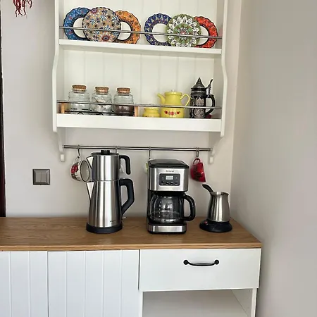 Palm Focakoey フォチャ