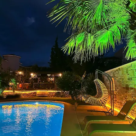 Palm Focakoey Foça