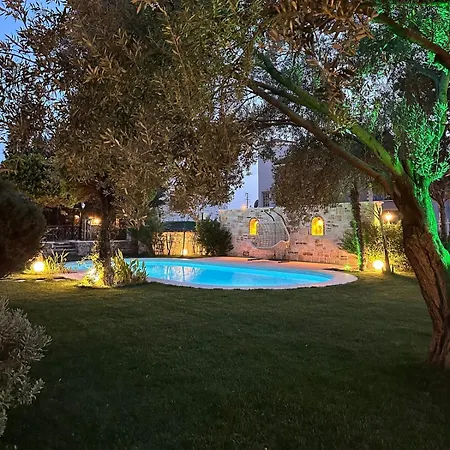 Palm Focakoey フォチャ