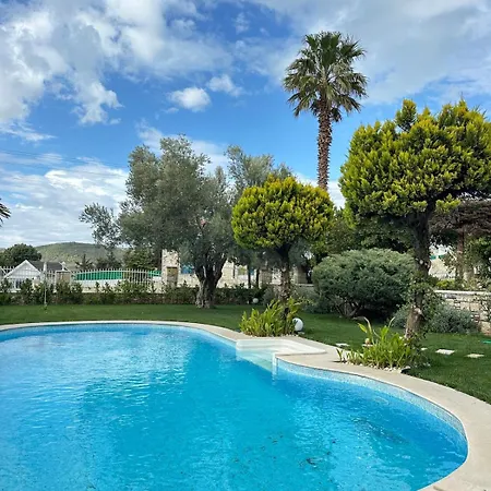 Palm Focakoey ヴィラ