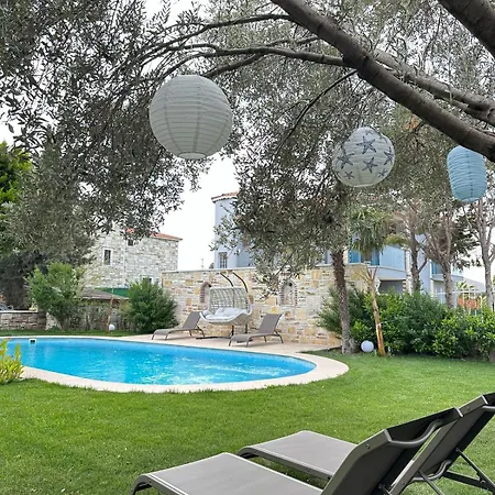 Palm Focakoey フォチャ