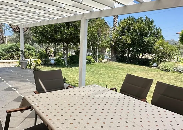 Palm Focakoey * Фоча