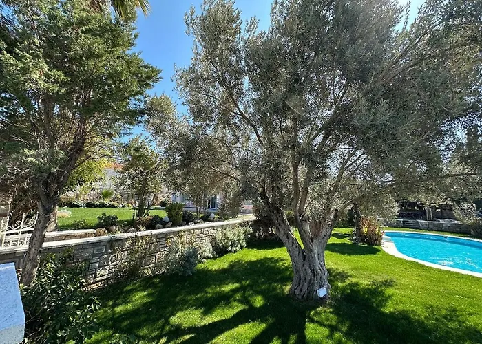 Palm Focakoey * Фоча