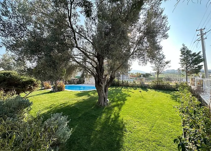 Вилла Palm Focakoey