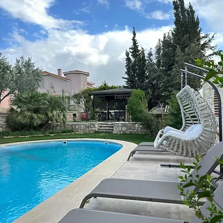 Palm Focakoey Vilă *