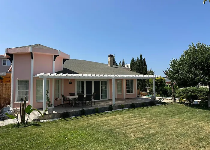 Palm Focakoey * Foca