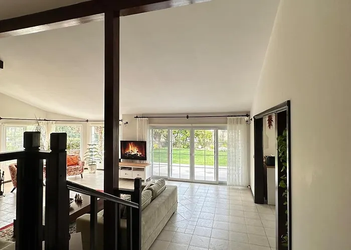 Palm Focakoey Vila Foca