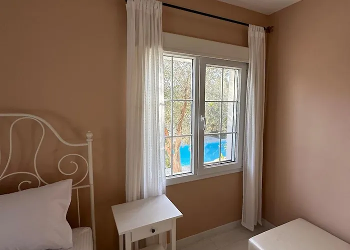 Palm Focakoey * Foca