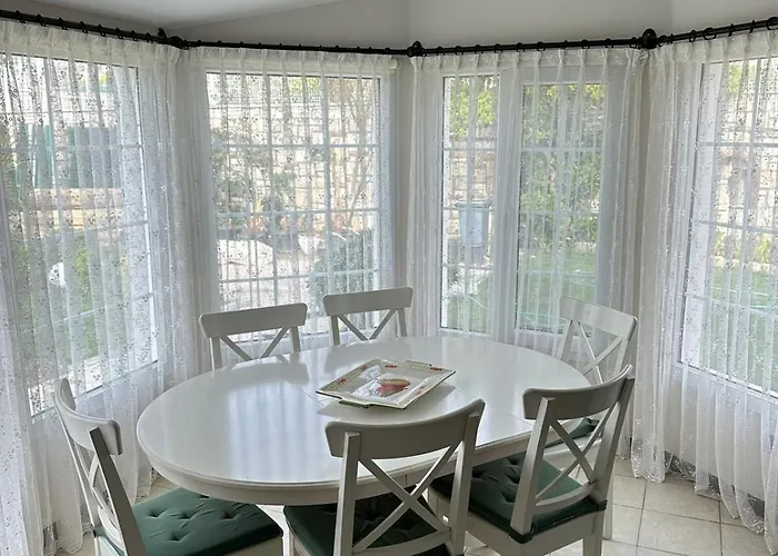 Palm Focakoey * Foca