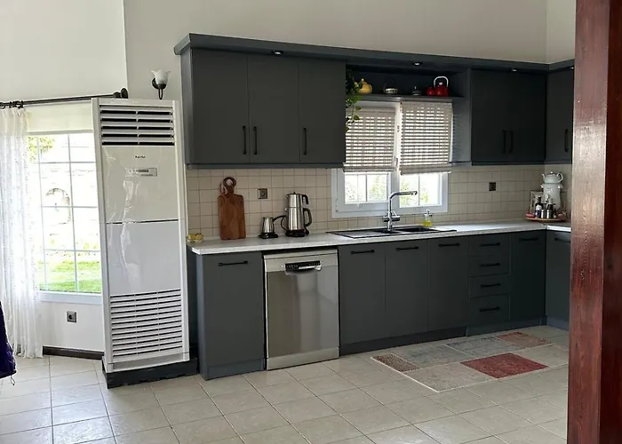 Palm Focakoey Vila Foca